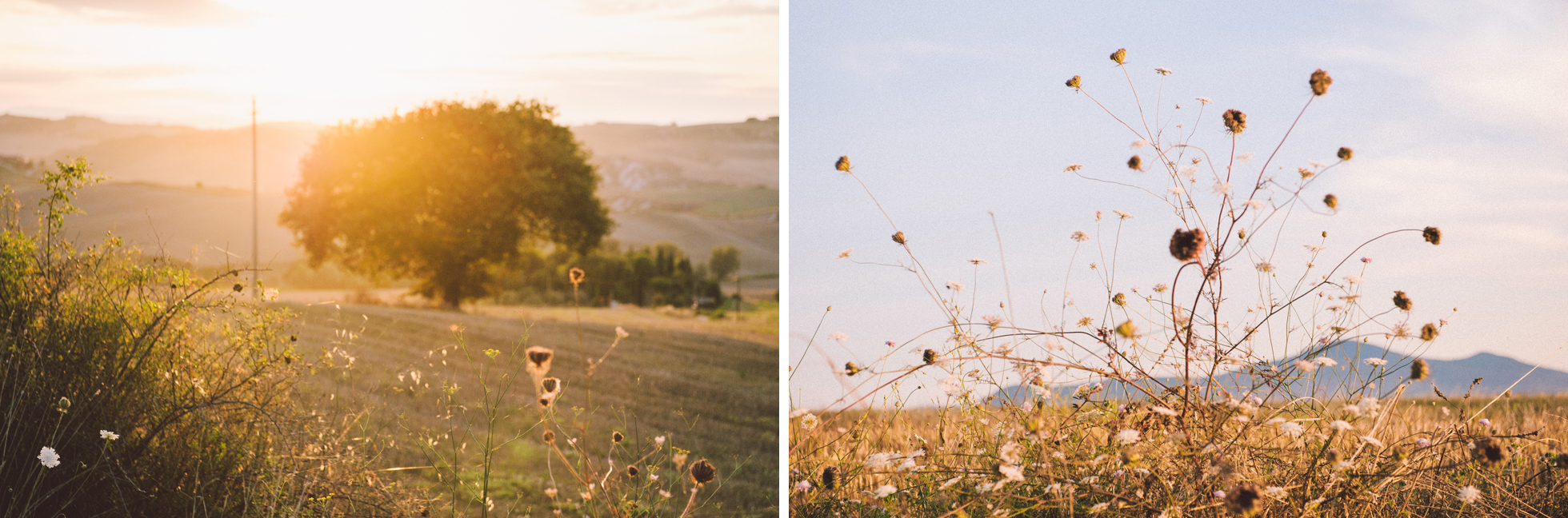 tuscany toscana italy field clouds field sunset