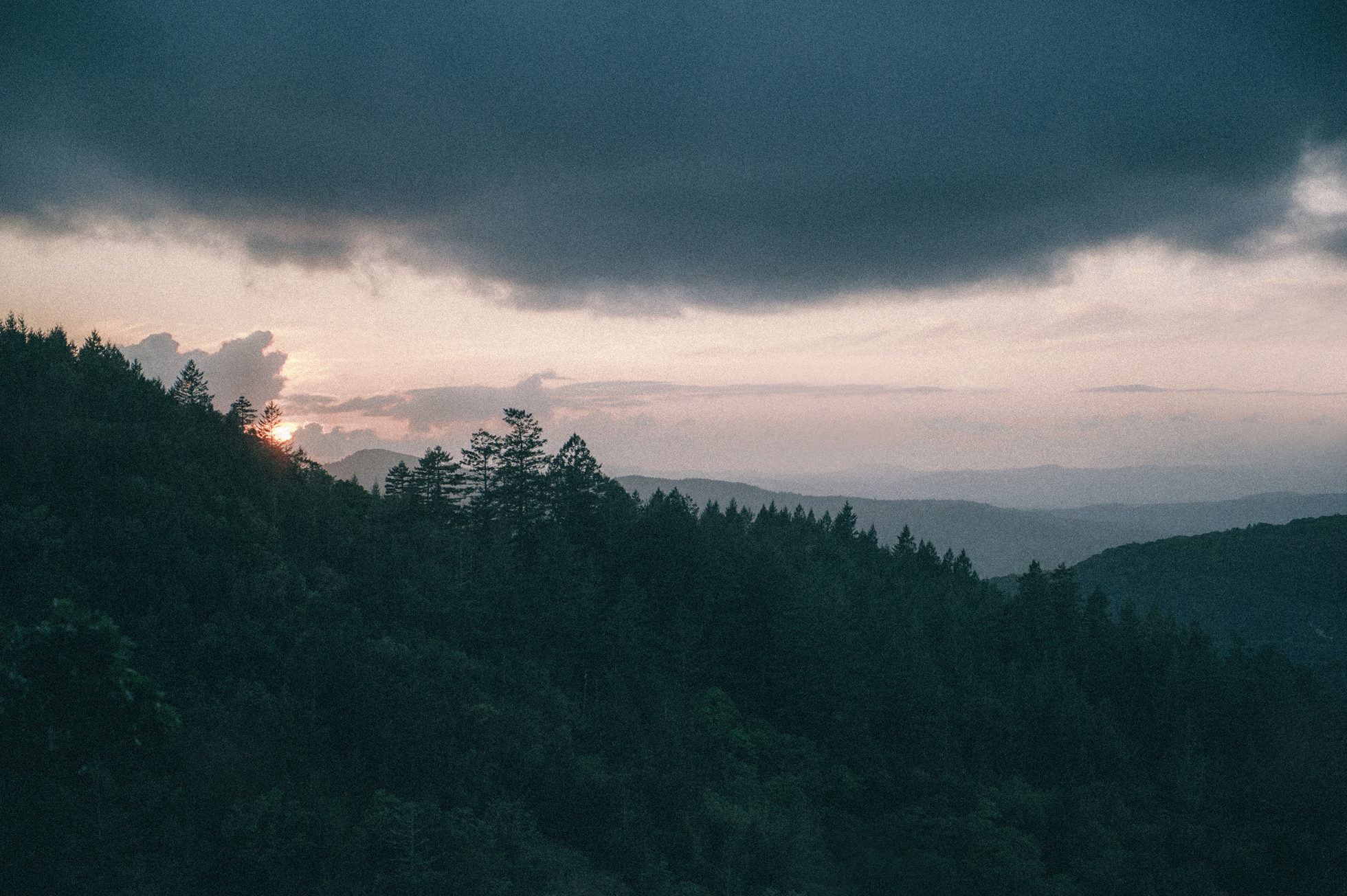 sunset san franscico usa forrest dark clouds usa us
