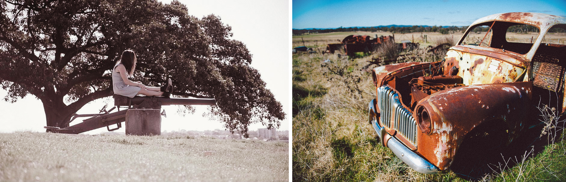australia sydney farm sheep car girl field