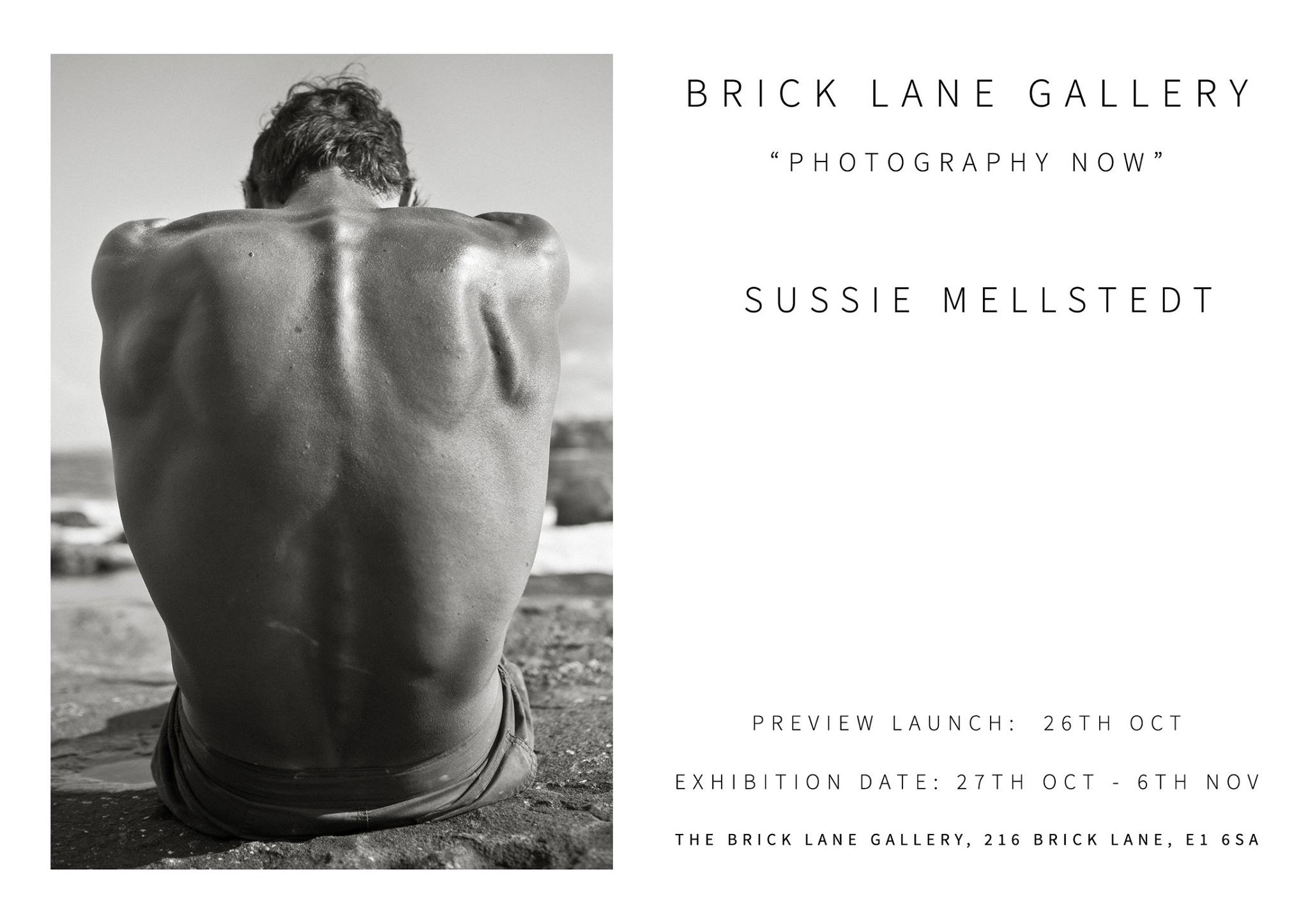 exhibition, london, artist, sussie mellstedt, sussie mellstedt photography